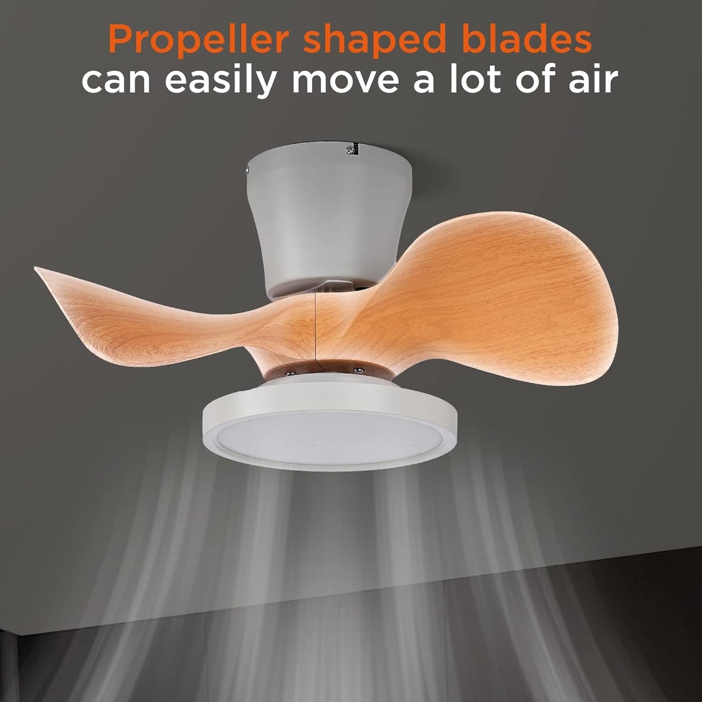 Quiet Ceiling Fan with LED Light 22 Inch Large Air Volume Remote