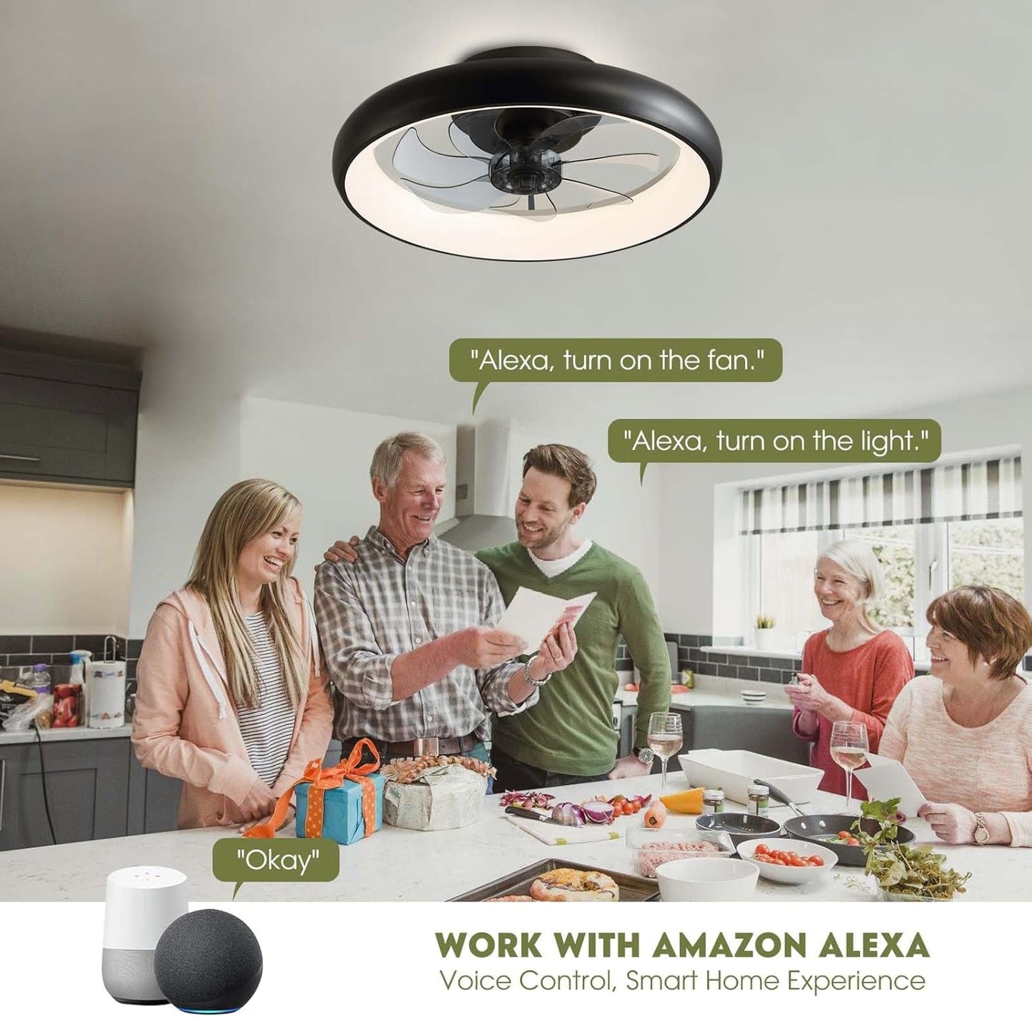 Ceiling Fans with Lights, Flush Mount Ceiling Fan with Alexa/Google