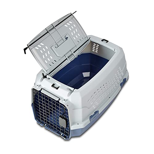 Amazon Basics 2-Door Top-Load Hard-Sided Dogs, Cats Pet Travel Carrier, Gray & Blue, 22.8"L x 15.0"W x 13.0"H