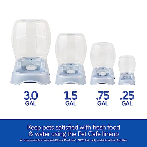 Petmate Pet Cafe Cat and Dog Water Dispenser - Water Bowl for Cats and Dogs, USA Made, .25 GAL, Pearl Ash Blue