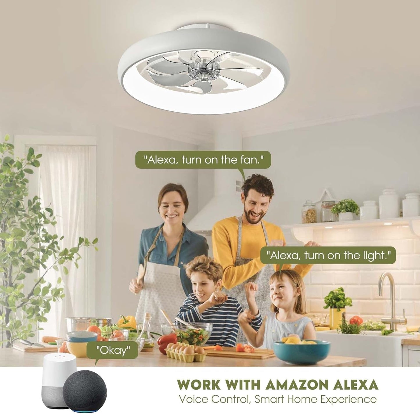 Ceiling Fans with Lights, Flush Mount Ceiling Fan with Alexa/Google