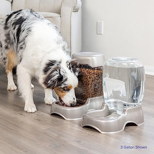 Petmate Pet Cafe Cat and Dog Water Dispenser - Water Bowl for Cats and Dogs, USA Made, .25 GAL, Pearl Ash Blue