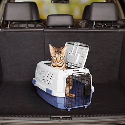 Amazon Basics 2-Door Top-Load Hard-Sided Dogs, Cats Pet Travel Carrier, Gray & Blue, 22.8"L x 15.0"W x 13.0"H