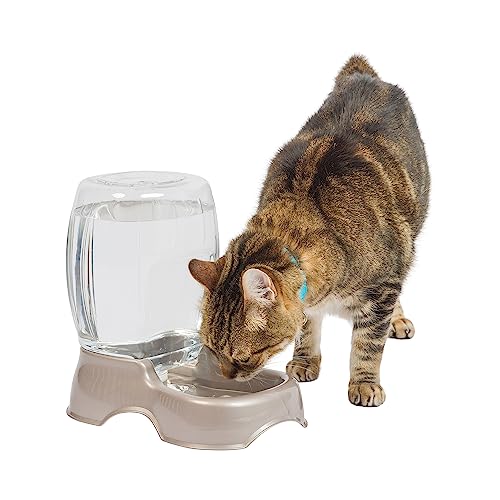 Petmate Pet Cafe Cat and Dog Water Dispenser - Water Bowl for Cats and Dogs, USA Made, .25 GAL, Pearl Ash Blue