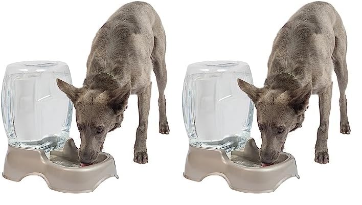 Petmate Pet Cafe Cat and Dog Water Dispenser - Water Bowl for Cats and Dogs, USA Made, .25 GAL, Pearl Ash Blue