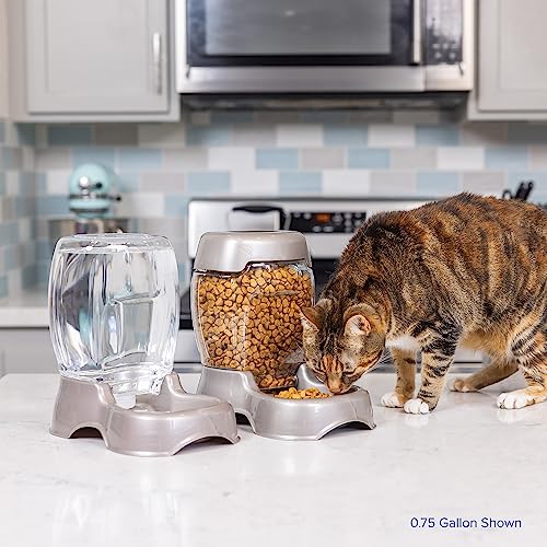 Petmate Pet Cafe Cat and Dog Water Dispenser - Water Bowl for Cats and Dogs, USA Made, .25 GAL, Pearl Ash Blue