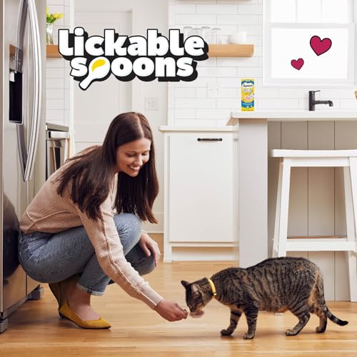 Temptations Lickable Spoons Adult Wet Cat Treat, 10 Grams, Variety Pack of 24