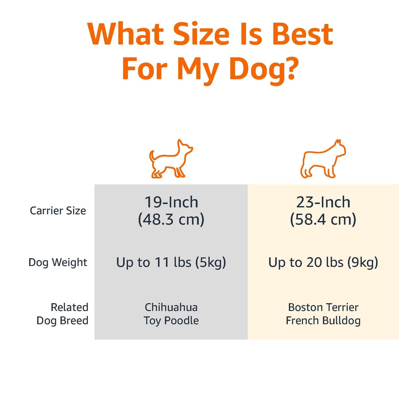 Amazon Basics 2-Door Top-Load Hard-Sided Dogs, Cats Pet Travel Carrier, Gray & Blue, 22.8"L x 15.0"W x 13.0"H
