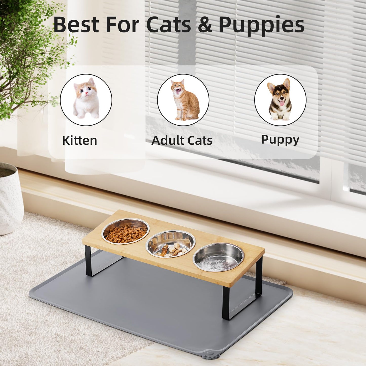 Upgraded Elevated Cat Bowls with Food Mat,15°Tilted Stand Anti Vomiting Raised Cat Dishes for Food and Water,2 Stainless Steel Bowls for Cats and Puppy