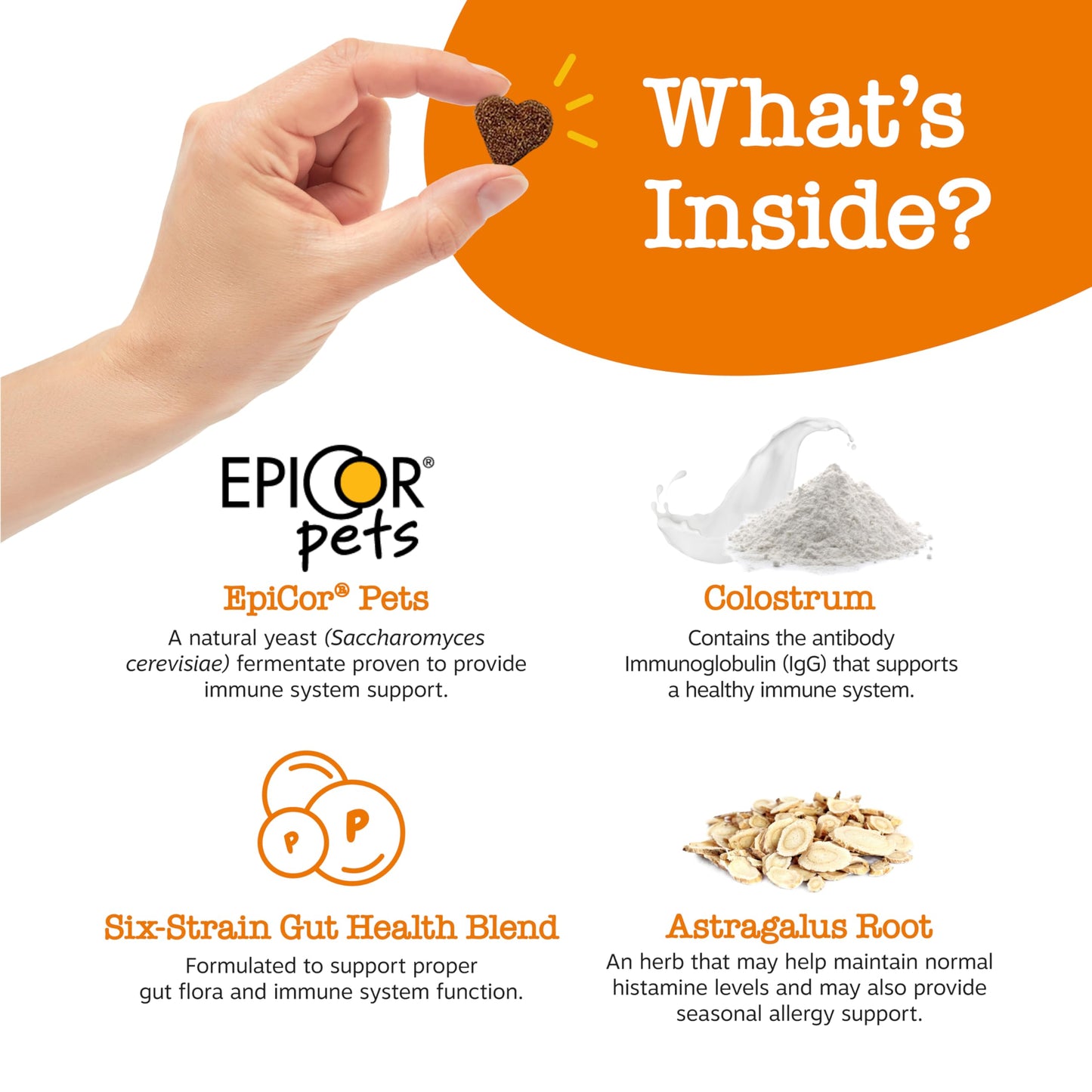 Suplemento inmune a las alergias para perros - Con Omega 3 Aceite de salmón salvaje de Alaska y EpiCor + Prebióticos y probióticos digestivos - Alergias estacionales + Anti picor y puntos calientes Apoyo a la piel - 90 masticables Golosinas