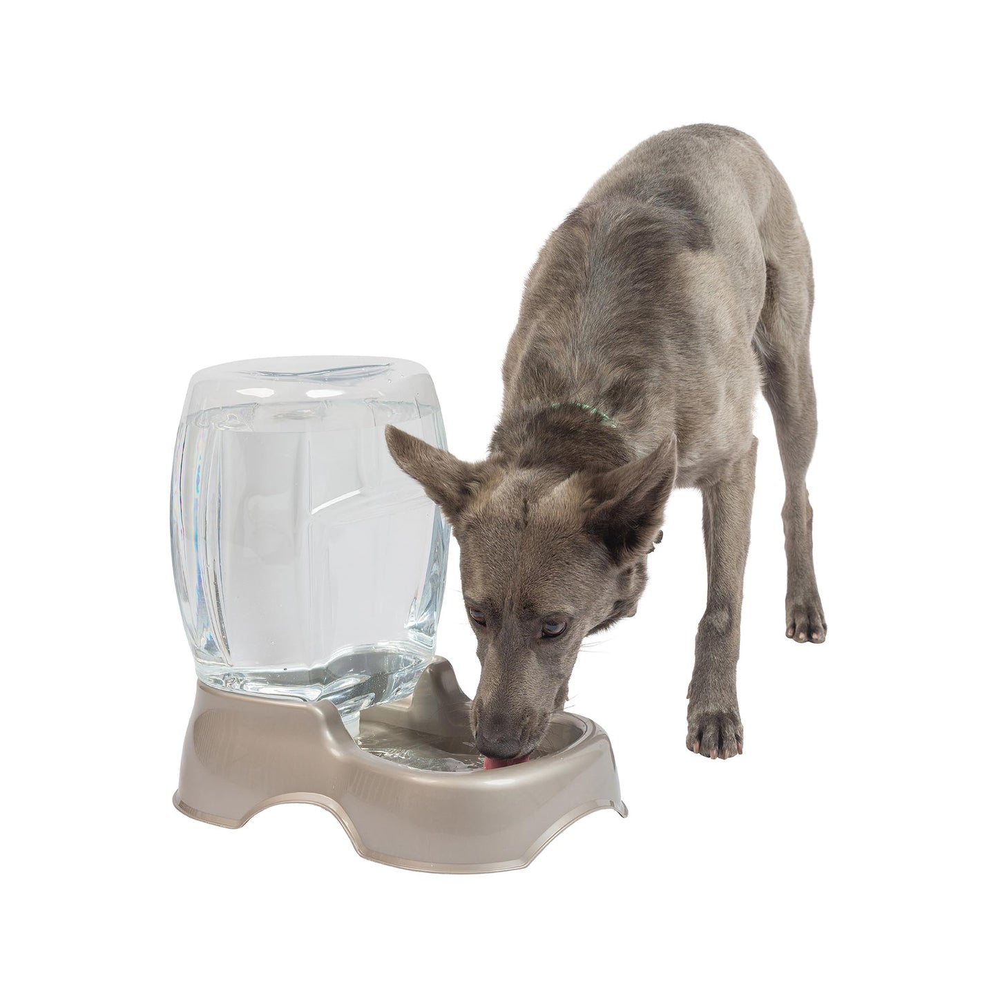 Petmate Pet Cafe Cat and Dog Water Dispenser - Water Bowl for Cats and Dogs, USA Made, .25 GAL, Pearl Ash Blue
