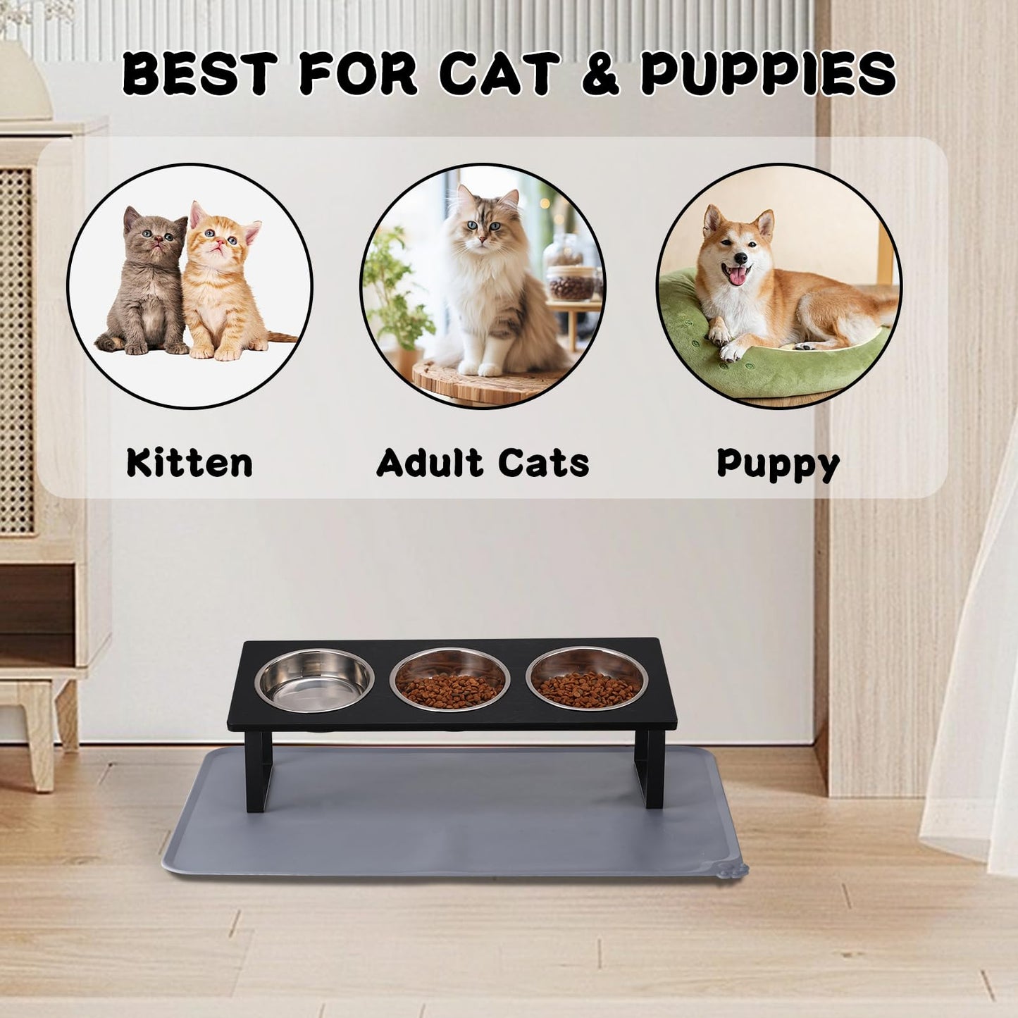 Upgraded Elevated Cat Bowls with Food Mat,15°Tilted Stand Anti Vomiting Raised Cat Dishes for Food and Water,2 Stainless Steel Bowls for Cats and Puppy
