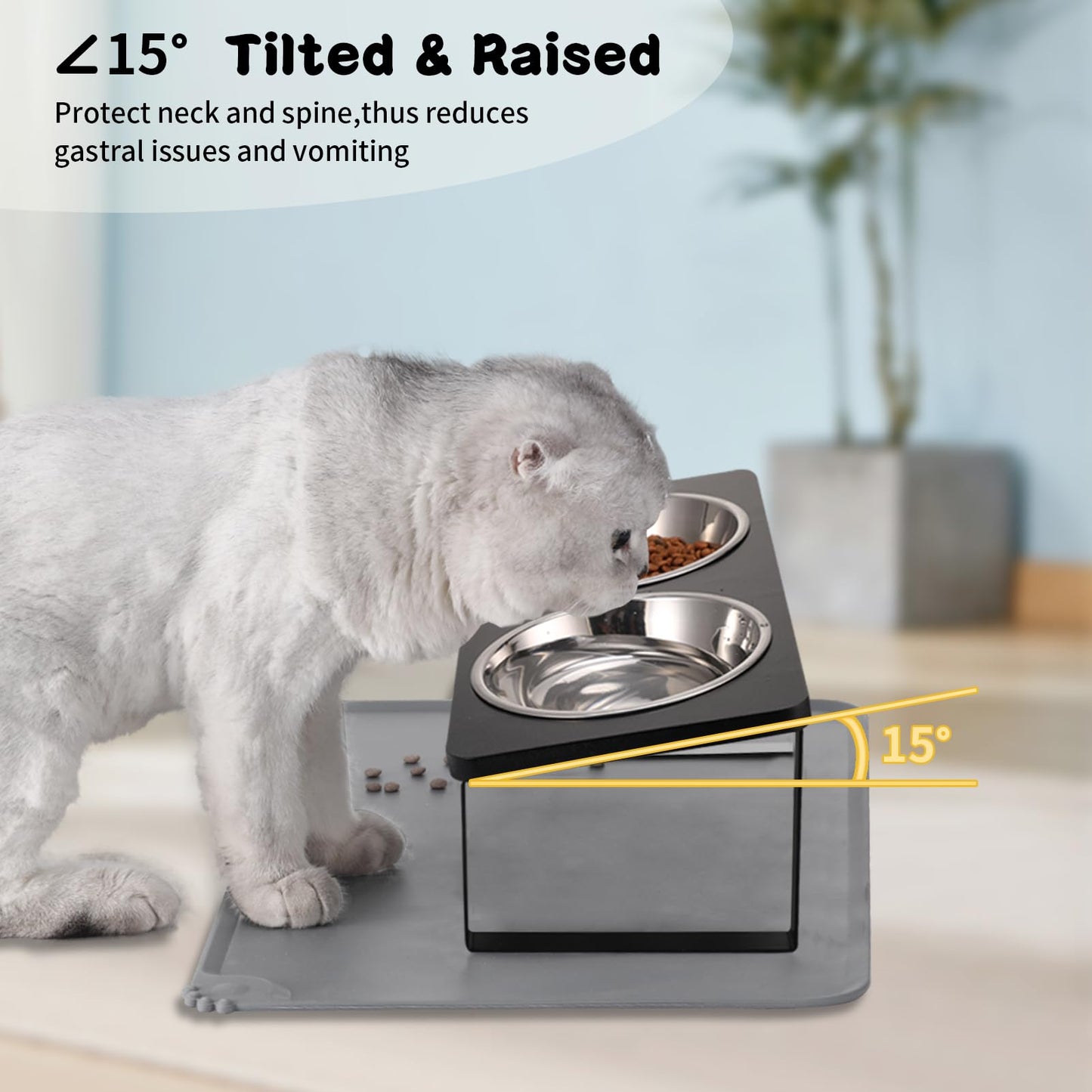 Upgraded Elevated Cat Bowls with Food Mat,15°Tilted Stand Anti Vomiting Raised Cat Dishes for Food and Water,2 Stainless Steel Bowls for Cats and Puppy