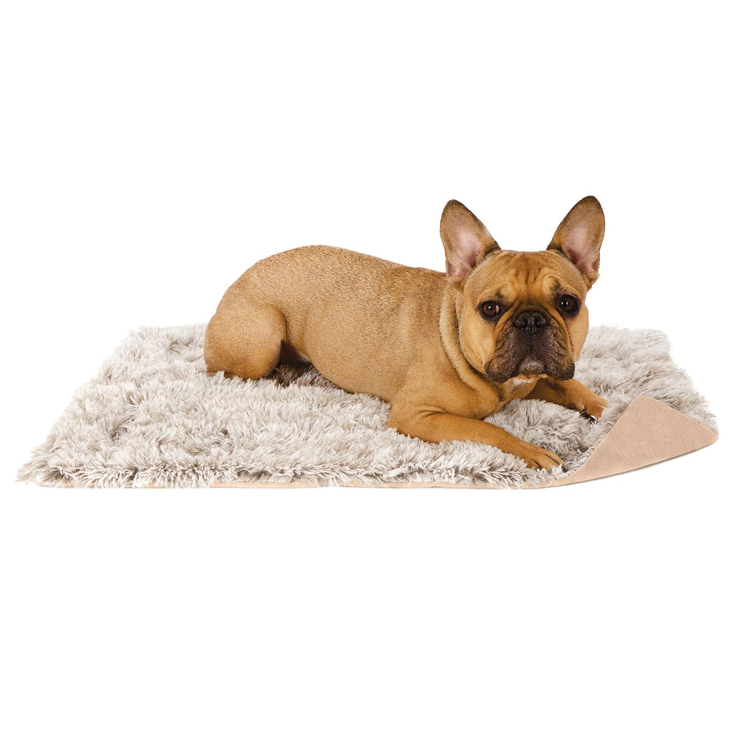 Furhaven - Manta impermeable y lavable para perros y gatos de interior, hecha en piel sintética de pelo largo sintético y terciopelo en color madera, XL, gris niebla