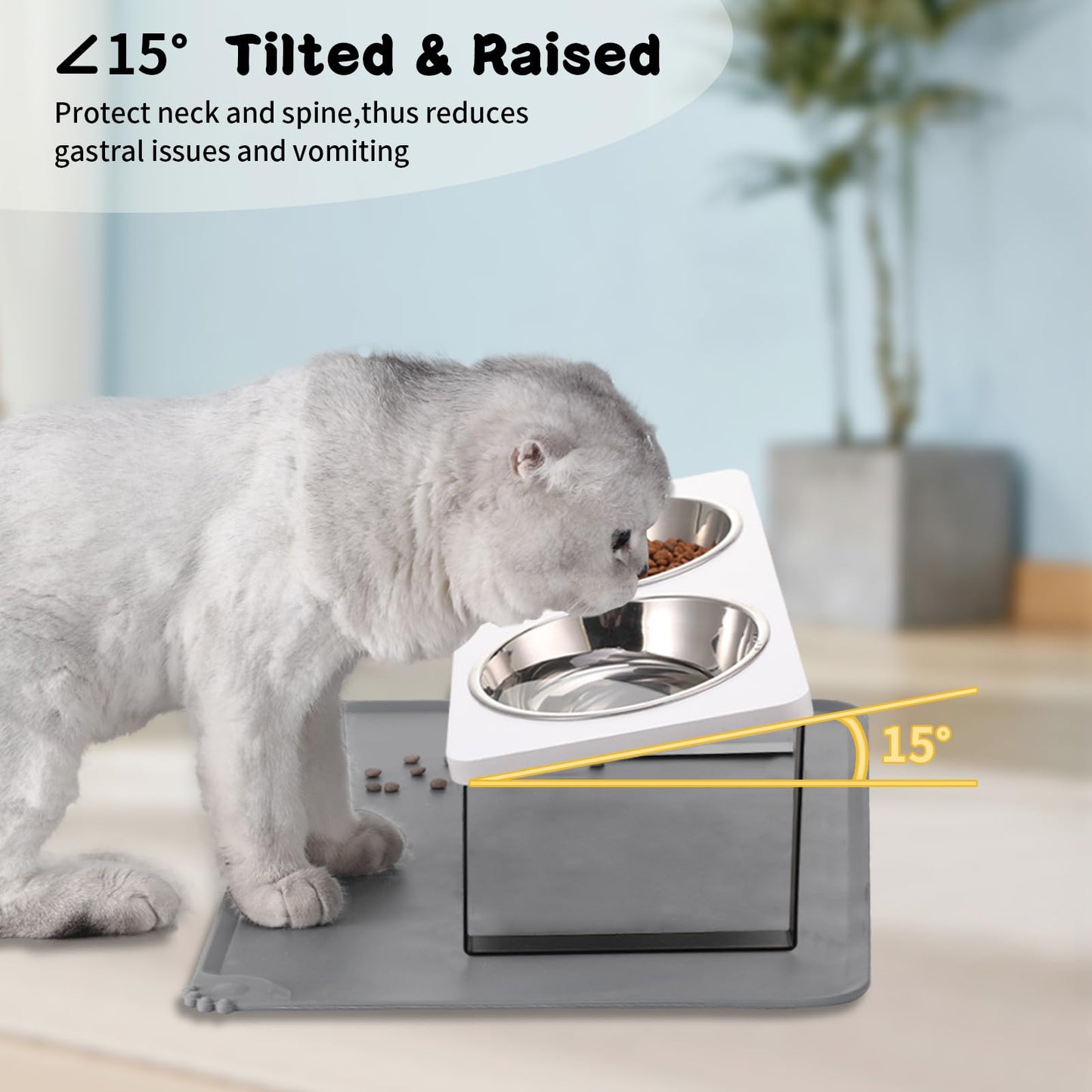 Upgraded Elevated Cat Bowls with Food Mat,15°Tilted Stand Anti Vomiting Raised Cat Dishes for Food and Water,2 Stainless Steel Bowls for Cats and Puppy