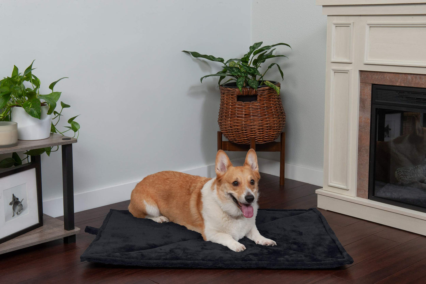 Furhaven ThermaNAP Self-Warming Cat Bed for Indoor Cats & Small Dogs, Washable & Reflects Body Heat - Quilted Faux Fur Reflective Bed Mat - Gray, Small