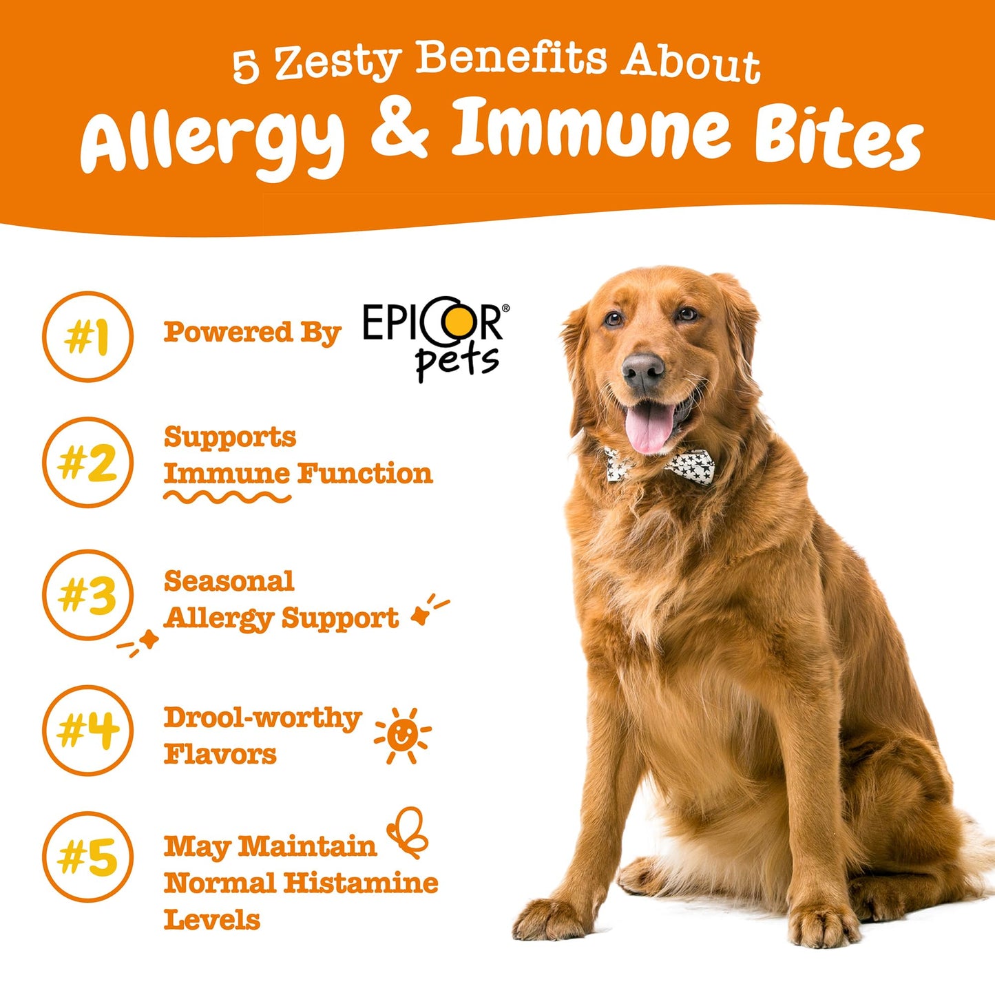 Suplemento inmune a las alergias para perros - Con Omega 3 Aceite de salmón salvaje de Alaska y EpiCor + Prebióticos y probióticos digestivos - Alergias estacionales + Anti picor y puntos calientes Apoyo a la piel - 90 masticables Golosinas