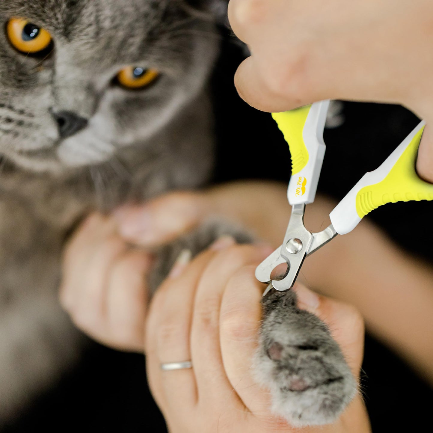 Mr. Pen- Cat Nail Clipper, Kitten Nail Trimmers, Pet Nail Cutter