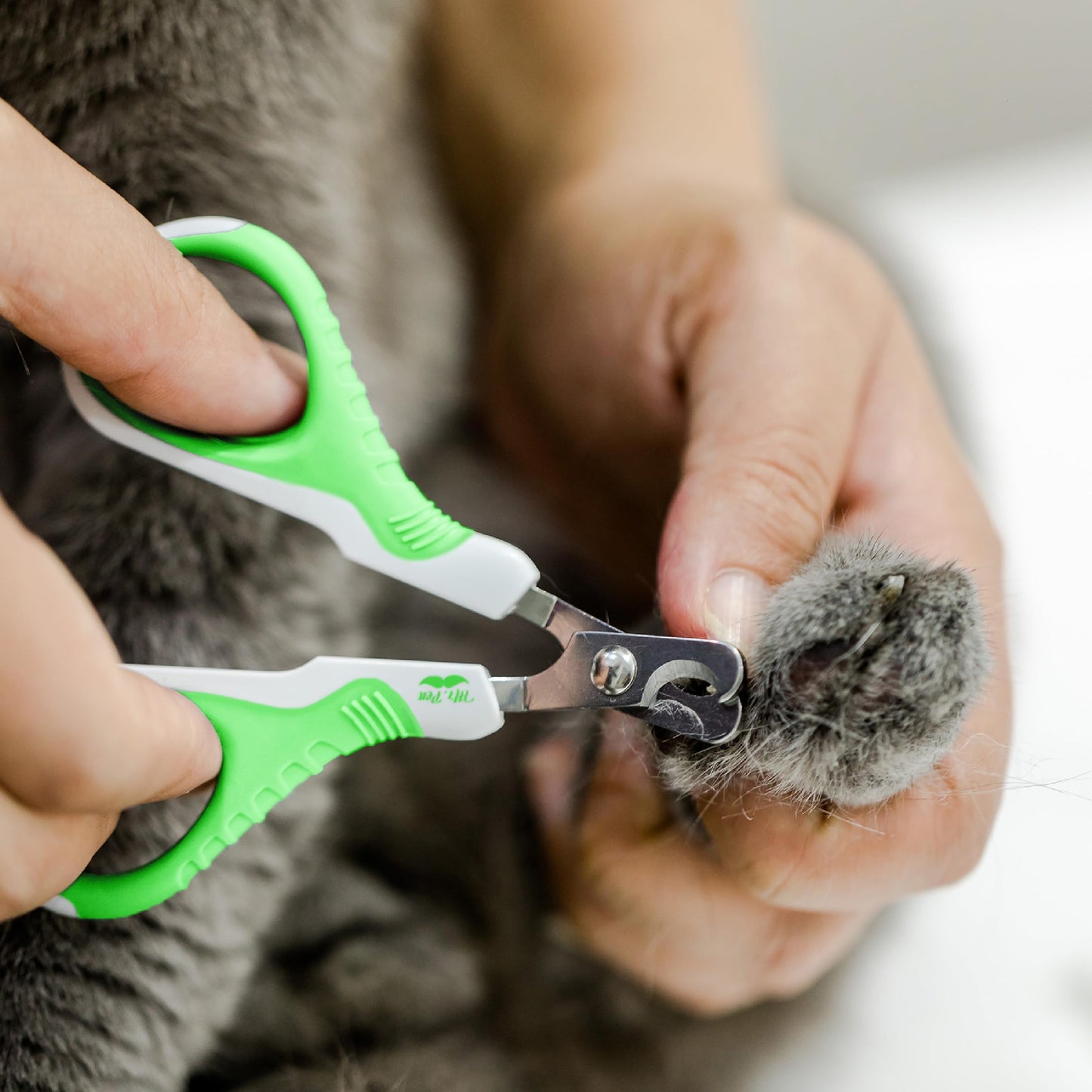 Mr. Pen- Cat Nail Clipper, Kitten Nail Trimmers, Pet Nail Cutter