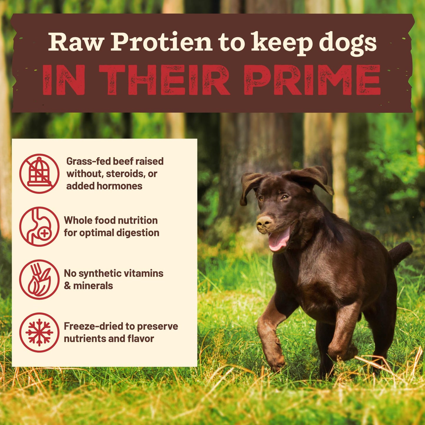 Primal Kibble in The Raw, Freeze Dried Dog Food, Puppy Recipe, Scoop & Serve, Made with Raw Protein, Whole Ingredient Nutrition, Crafted in The USA, Dry Dog Food 5.4 lb Bag