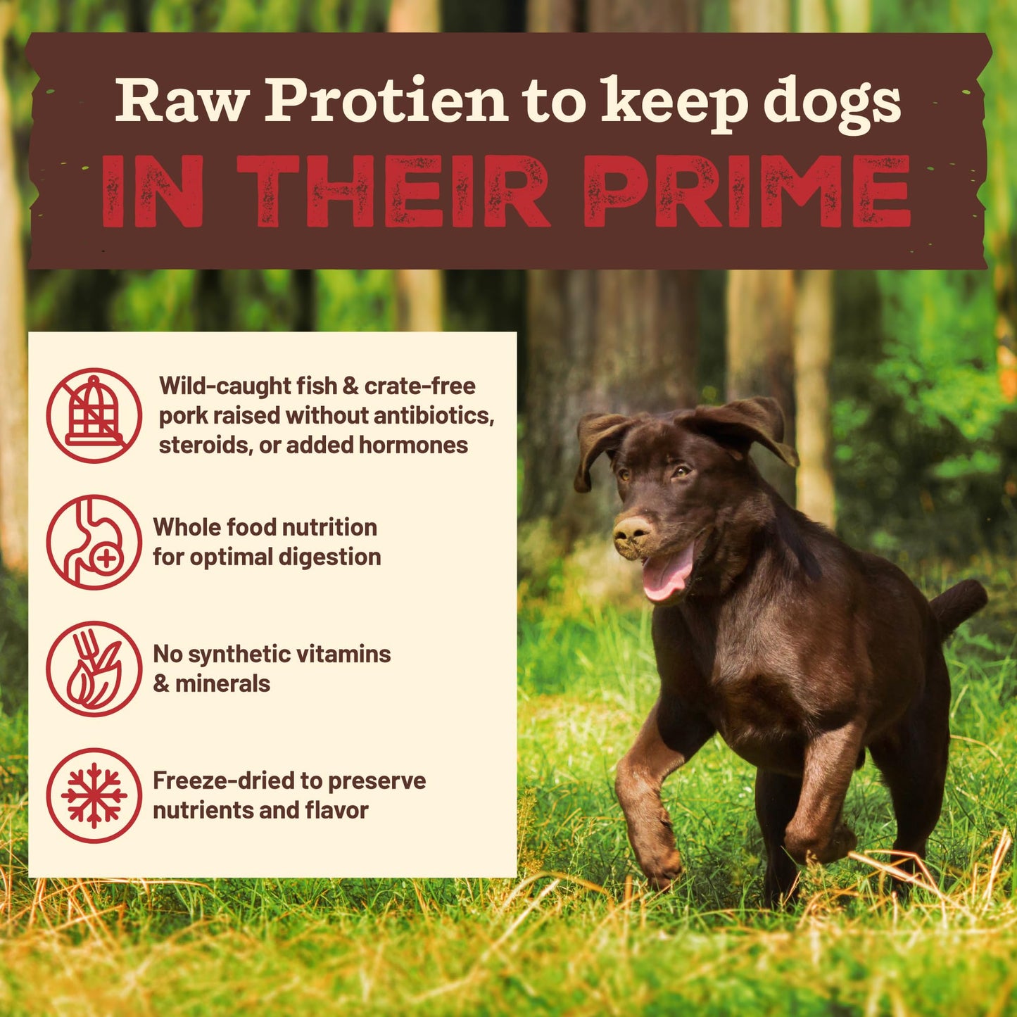 Primal Kibble in The Raw, Freeze Dried Dog Food, Puppy Recipe, Scoop & Serve, Made with Raw Protein, Whole Ingredient Nutrition, Crafted in The USA, Dry Dog Food 5.4 lb Bag