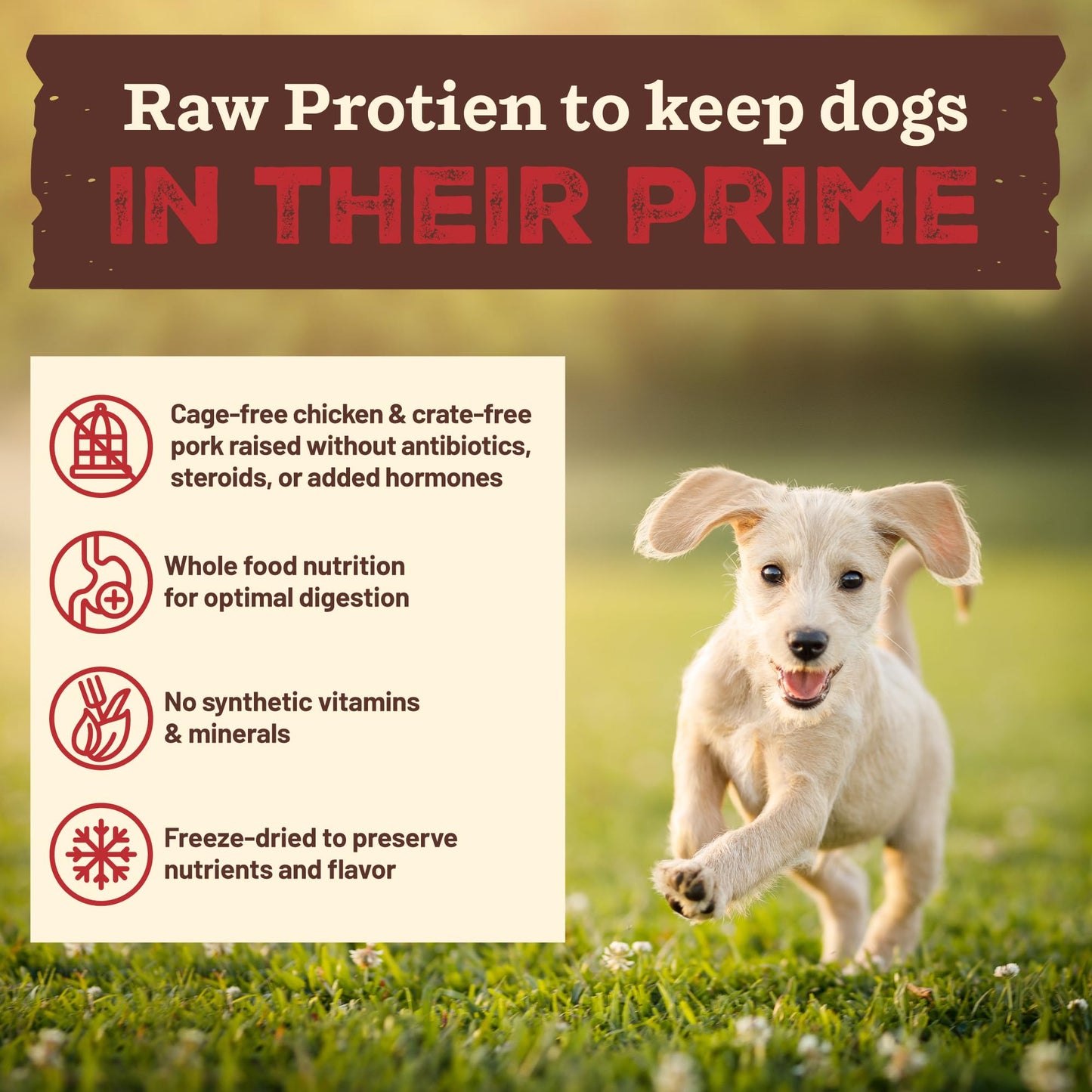 Primal Kibble in The Raw, Freeze Dried Dog Food, Puppy Recipe, Scoop & Serve, Made with Raw Protein, Whole Ingredient Nutrition, Crafted in The USA, Dry Dog Food 5.4 lb Bag