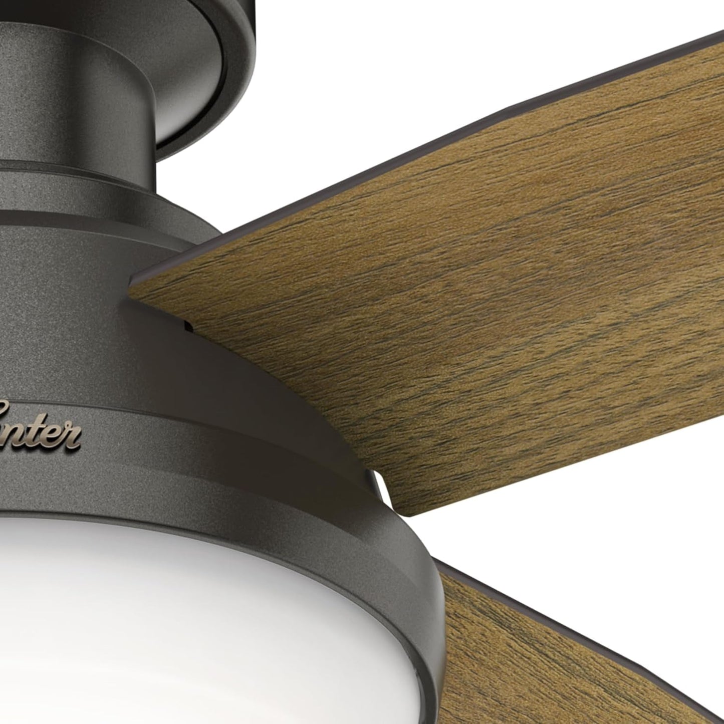 Fan Dempsey Low Profile Ceiling Fans with Lights and Remote, Flush