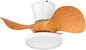 Quiet Ceiling Fan with LED Light 22 Inch Large Air Volume Remote