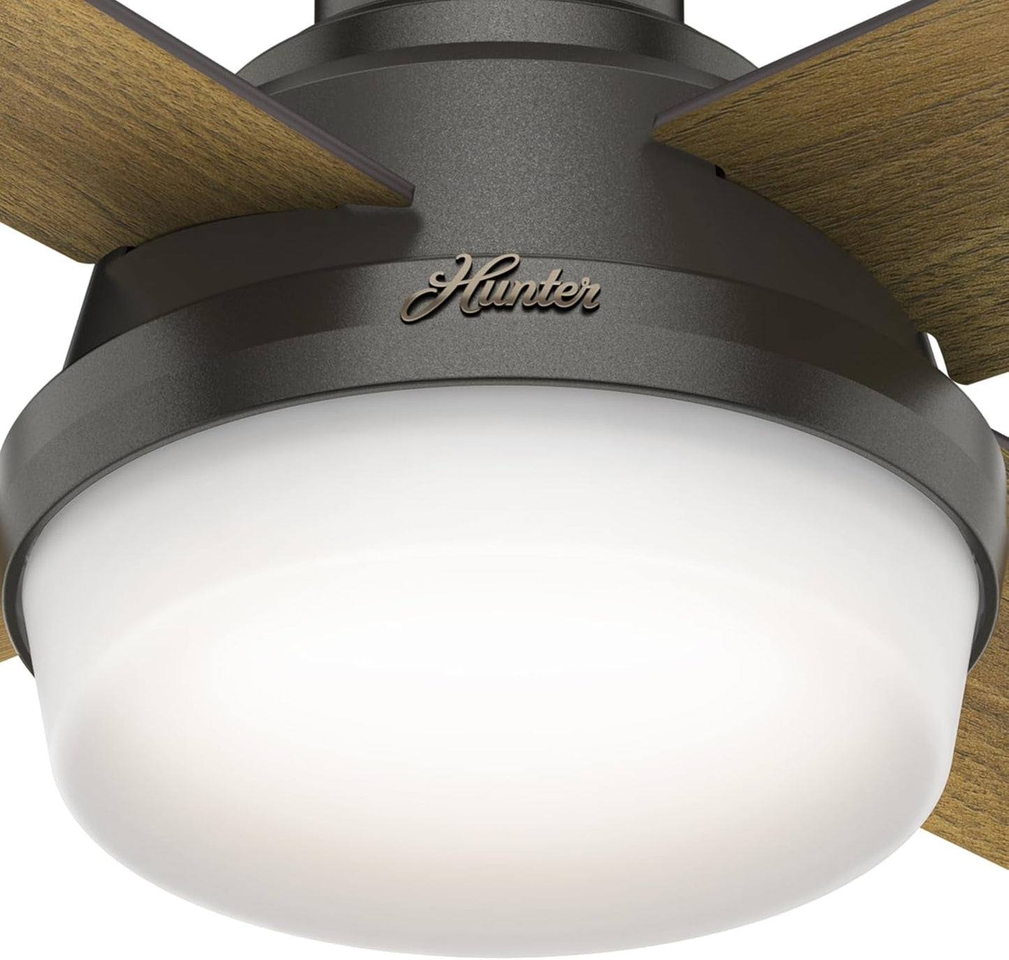 Fan Dempsey Low Profile Ceiling Fans with Lights and Remote, Flush