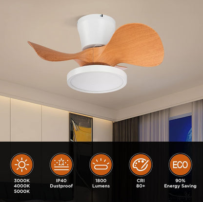 Quiet Ceiling Fan with LED Light 22 Inch Large Air Volume Remote