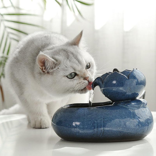 Pet Oasis: Resin Cat Feeder And Water Dispenser-0