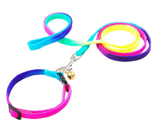 Rainbow Round Cat Leash And Dog Chain-0