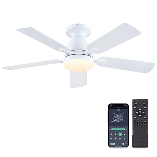 Ceiling Fans with Lights- 52" Low Profile Indoor Ceiling Fan with Light and Remote/APP Control, Flush Mount, LED Dimmable DC Reversible Modern Ceiling Fan for Bedroom（Black）