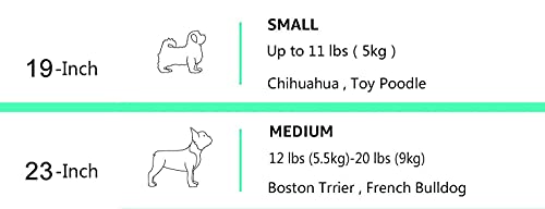 Amazon Basics 2-Door Top-Load Hard-Sided Dogs, Cats Pet Travel Carrier, Gray & Blue, 22.8"L x 15.0"W x 13.0"H