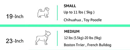 Amazon Basics 2-Door Top-Load Hard-Sided Dogs, Cats Pet Travel Carrier, Gray & Blue, 22.8"L x 15.0"W x 13.0"H