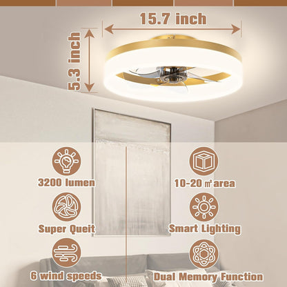 Low Profile Ceiling Fans with Lights and Remote,15.7In Modern Ceiling
