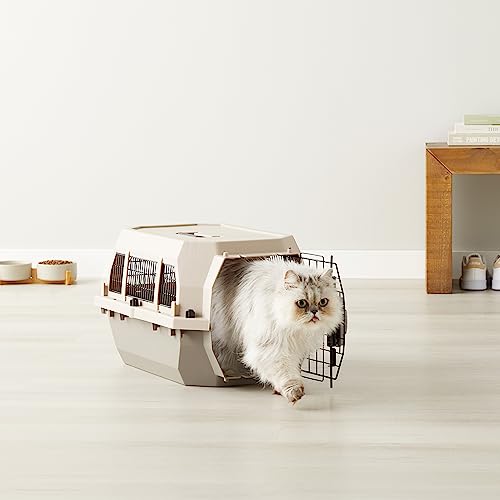 Amazon Basics 2-Door Top-Load Hard-Sided Dogs, Cats Pet Travel Carrier, Gray & Blue, 22.8"L x 15.0"W x 13.0"H