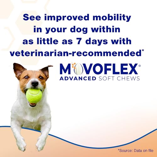 Advanced Soft Chews Hip Joint Support Supplement for Large Dogs- 60 Count by Virbac