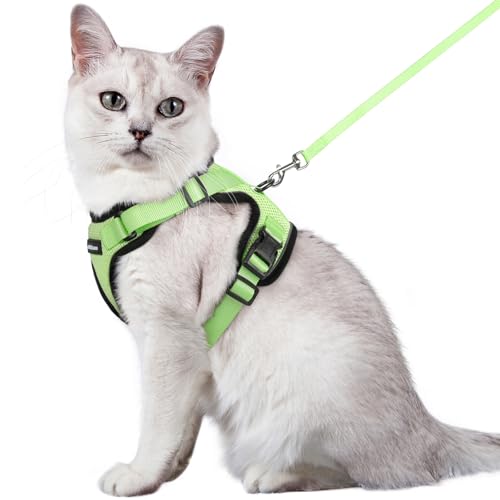 rabbitgoo Cat Harness and Leash for Walking, Escape Proof Soft Adjustable Vest Harnesses for Cats, Easy Control Breathable Reflective Strips Jacket, Black, XS