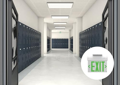 Lithonia Lighting BE W R SM M6 BE Basics Edge-Lit Exit Sign, White with Red Letters, Surface Mount
