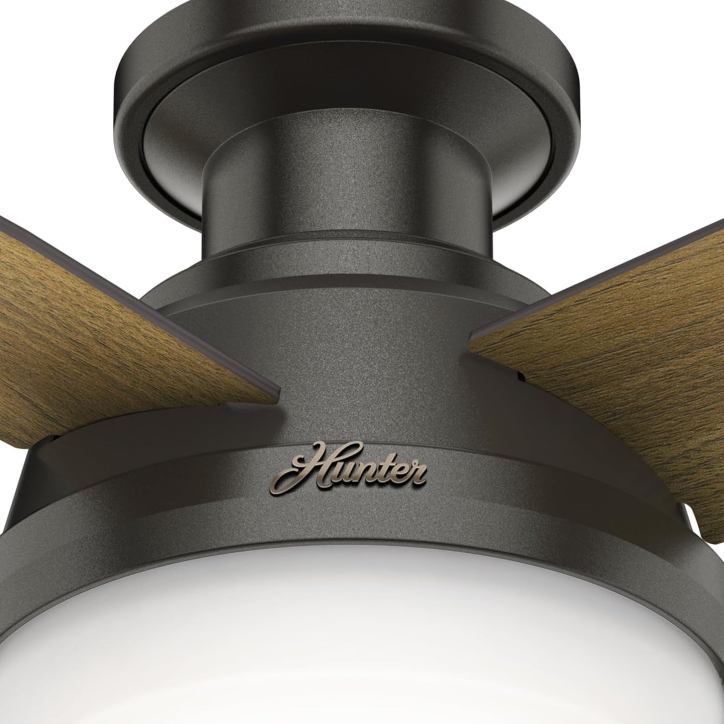 Fan Dempsey Low Profile Ceiling Fans with Lights and Remote, Flush
