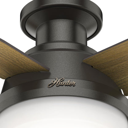 Fan Dempsey Low Profile Ceiling Fans with Lights and Remote, Flush