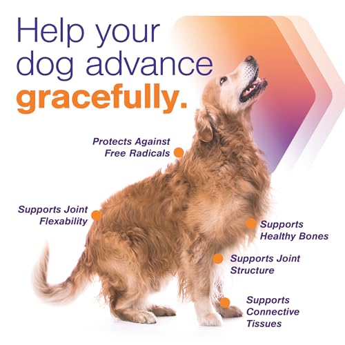 Advanced Soft Chews Hip Joint Support Supplement for Large Dogs- 60 Count by Virbac