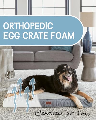 OhGeni 35 Inch Orthopedic Waterproof & Machine Washable Dog Bed for Medium Large Pets, 20D Egg Crate Foam Stable Support, Non-Slip Bottom and Removable Cover, Tear-Resistant Invisible Zipper(Gray)