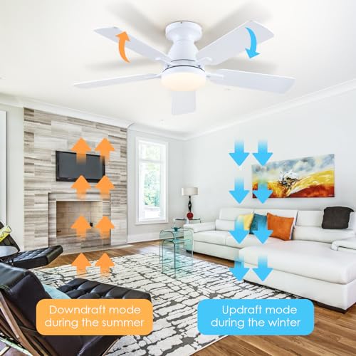 Ceiling Fans with Lights- 52" Low Profile Indoor Ceiling Fan with Light and Remote/APP Control, Flush Mount, LED Dimmable DC Reversible Modern Ceiling Fan for Bedroom（Black）