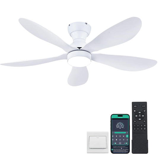Ceiling Fans with Lights and Remote/APP Control, 30 inch Low Profile Ceiling Fans with 5 Reversible Blades 3 Colors Dimmable 6 Speeds Ceiling Fan for Bedroom Kids Room Dining Room, Black