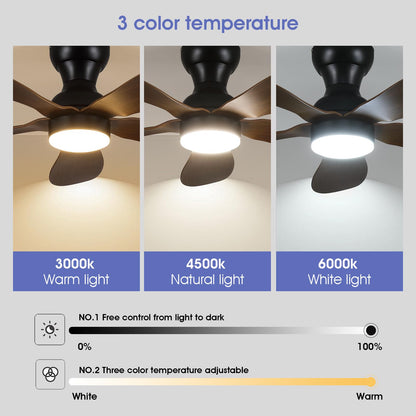 Ceiling Fans with Lights and Remote/APP Control, 30 inch Low Profile Ceiling Fans with 5 Reversible Blades 3 Colors Dimmable 6 Speeds Ceiling Fan for Bedroom Kids Room Dining Room, Black