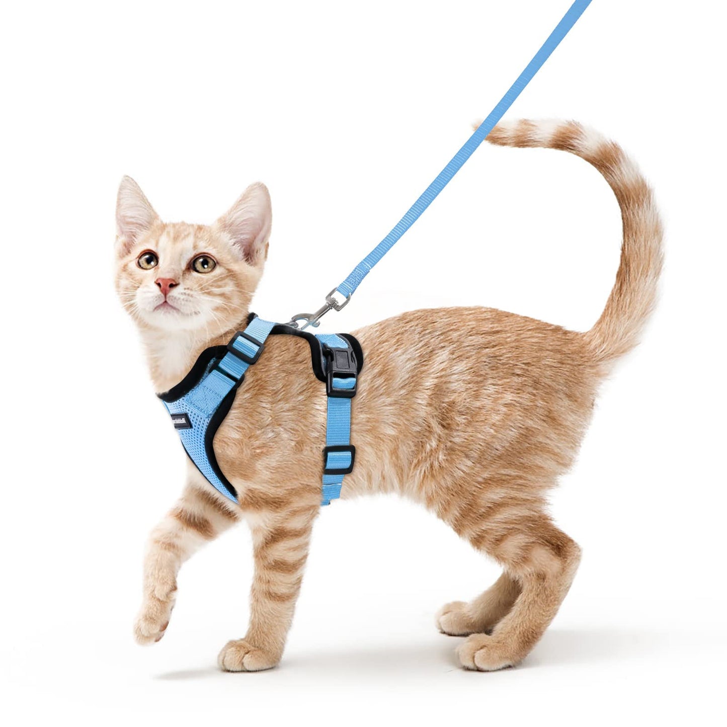 rabbitgoo Cat Harness and Leash for Walking, Escape Proof Soft Adjustable Vest Harnesses for Cats, Easy Control Breathable Reflective Strips Jacket, Black, XS