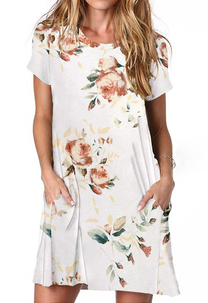 Alaster Women’s Casual Summer T Shirt Dress Loose Short Sleeve Tunic Dress with Pocket for Women