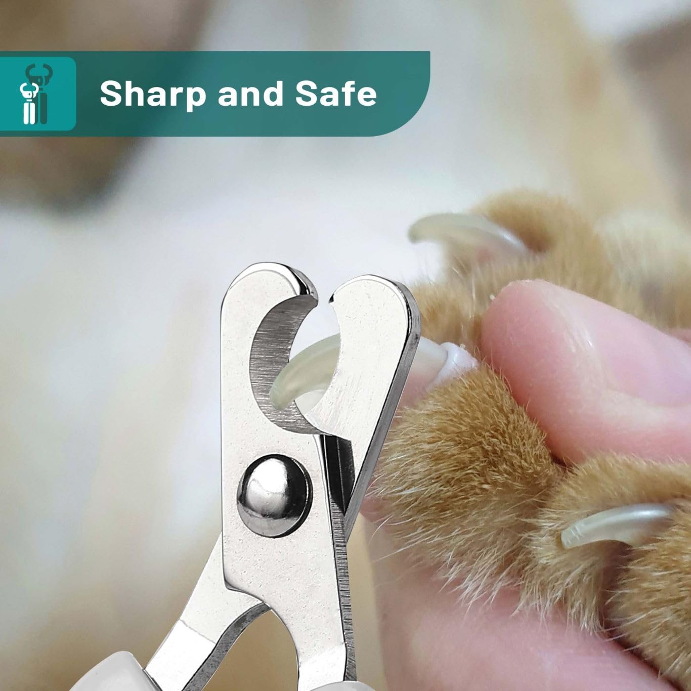 Mr. Pen- Cat Nail Clipper, Kitten Nail Trimmers, Pet Nail Cutter